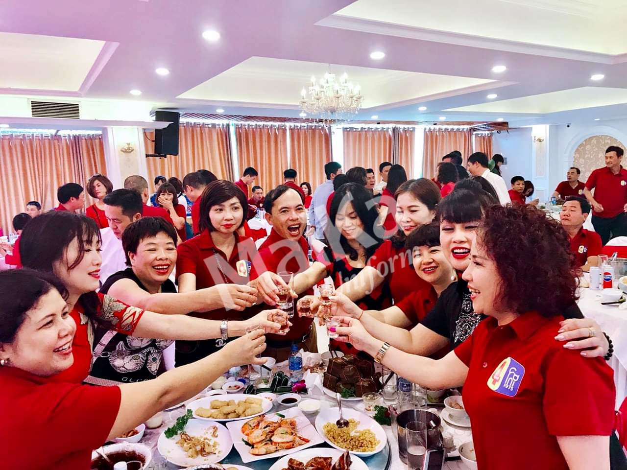 Áo phông cổ trụ